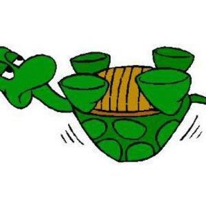 Meet your Posher, Turtle